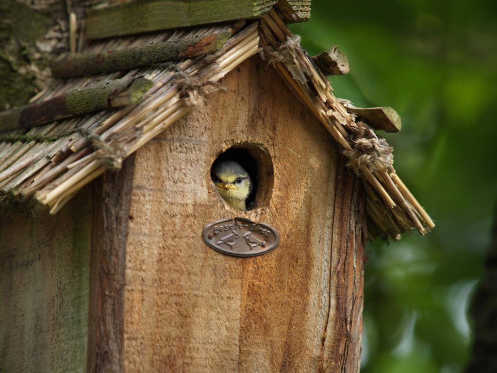 Les Gites De Cherisey Exterior foto